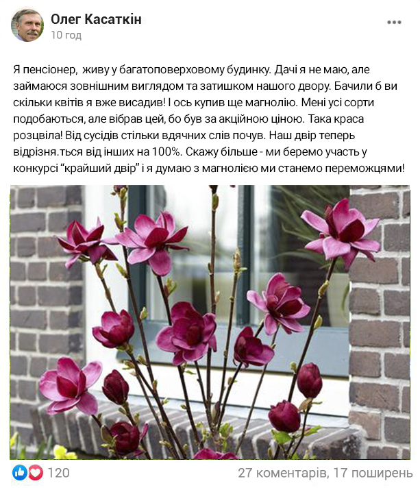 Заголовок