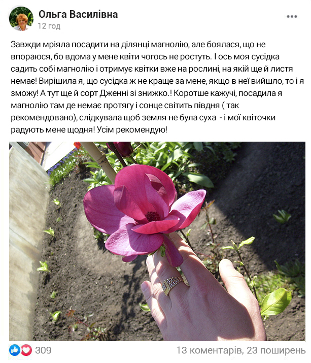 Image title