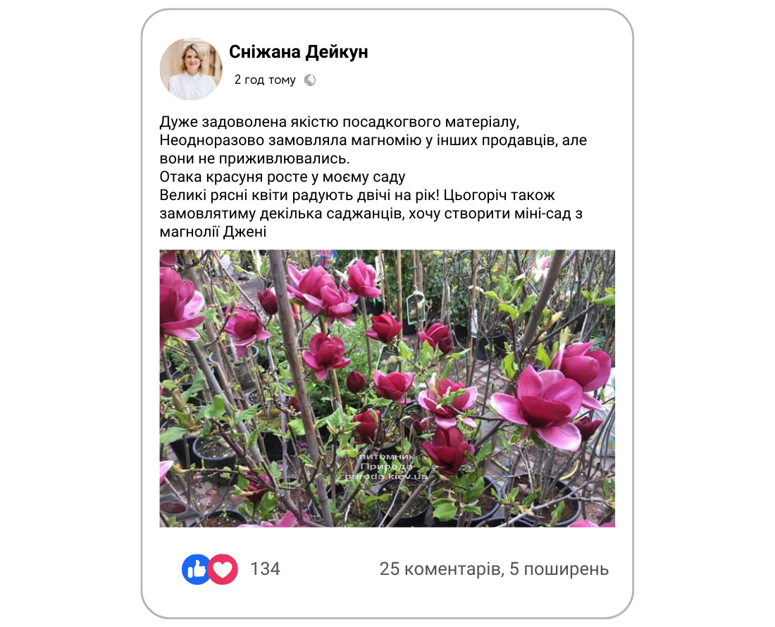 Заголовок