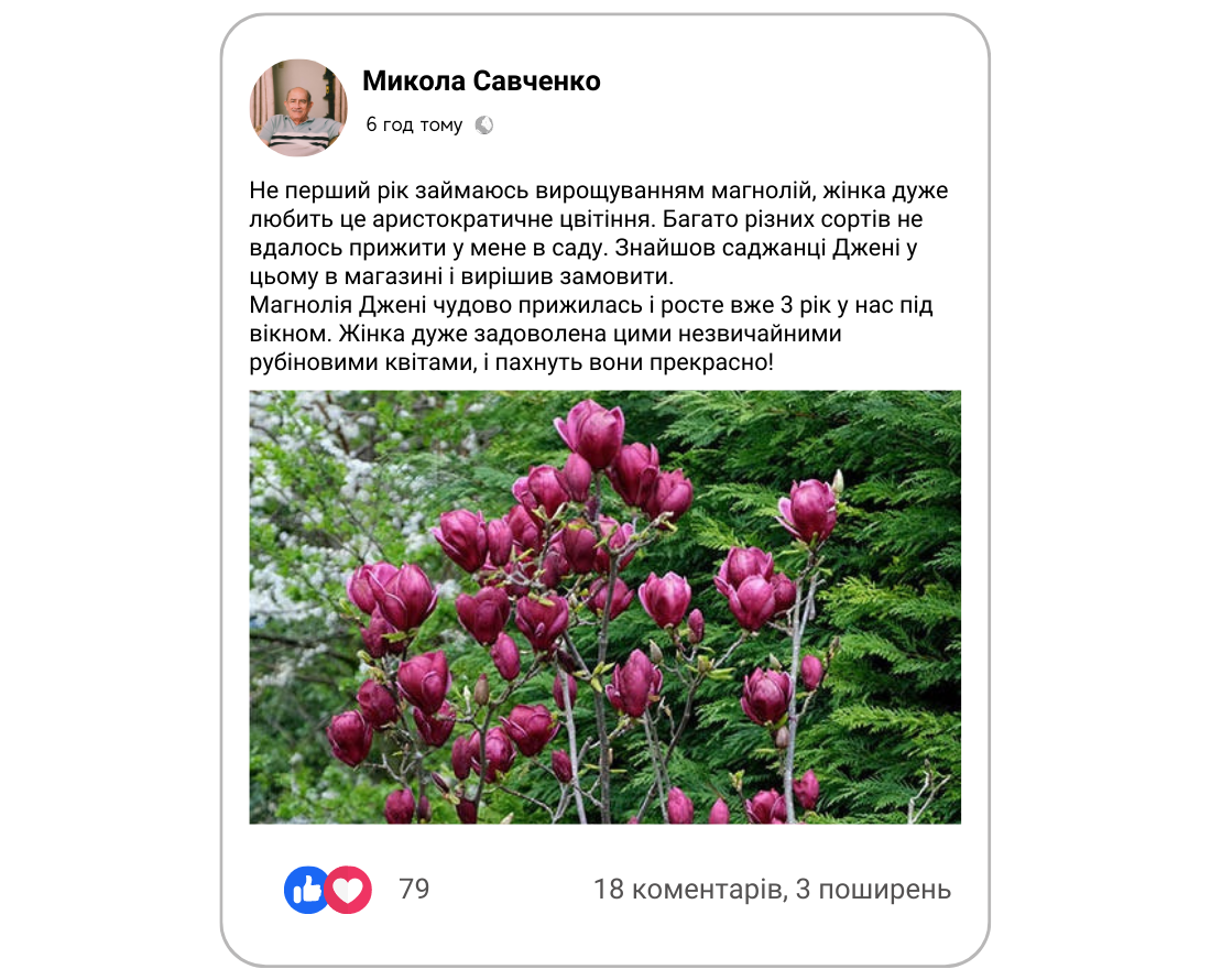 Заголовок