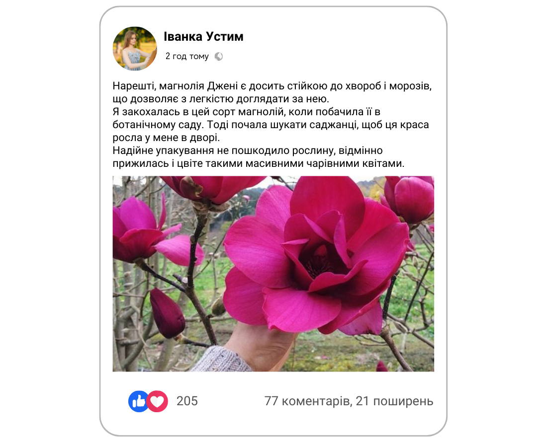 Заголовок