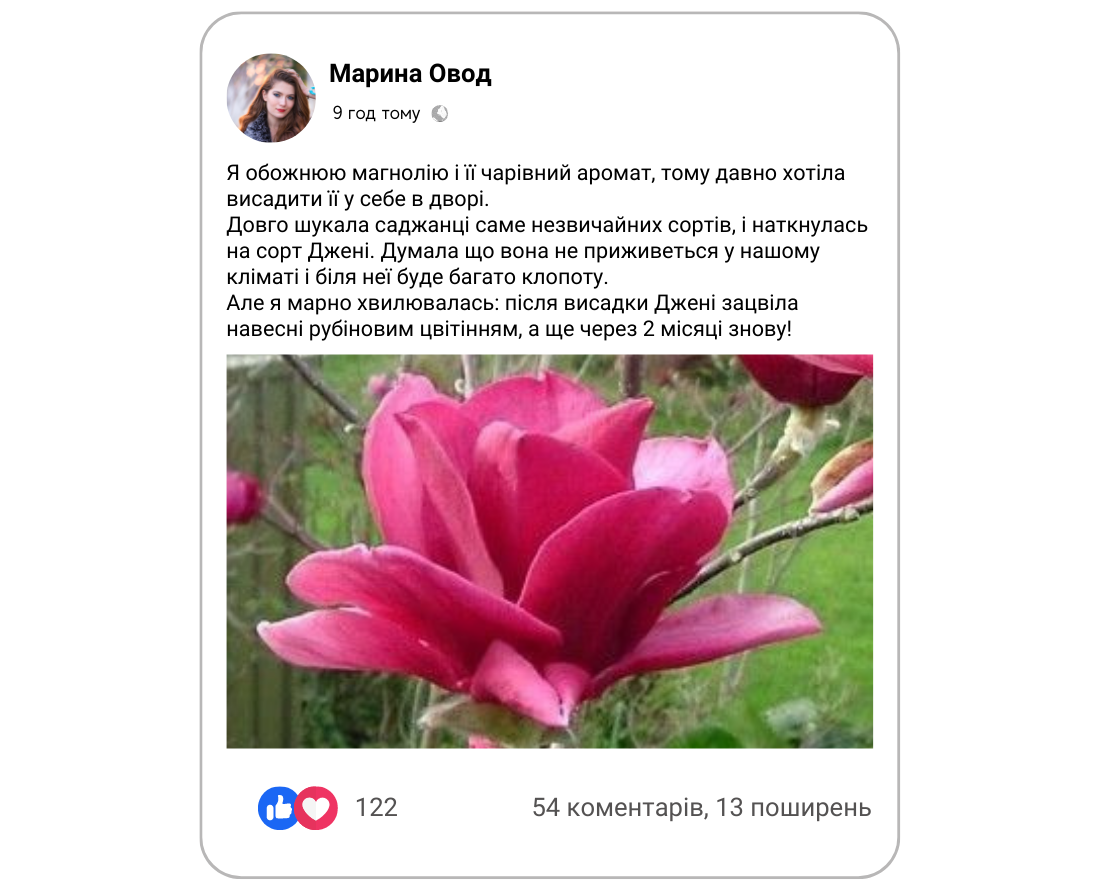 Заголовок