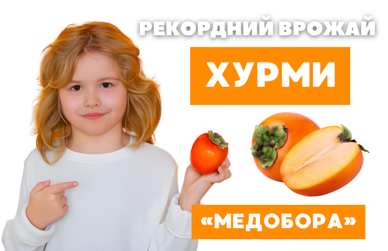 Image title