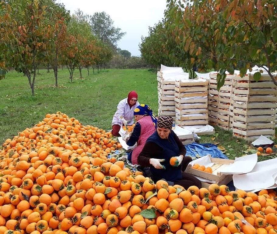 Заголовок
