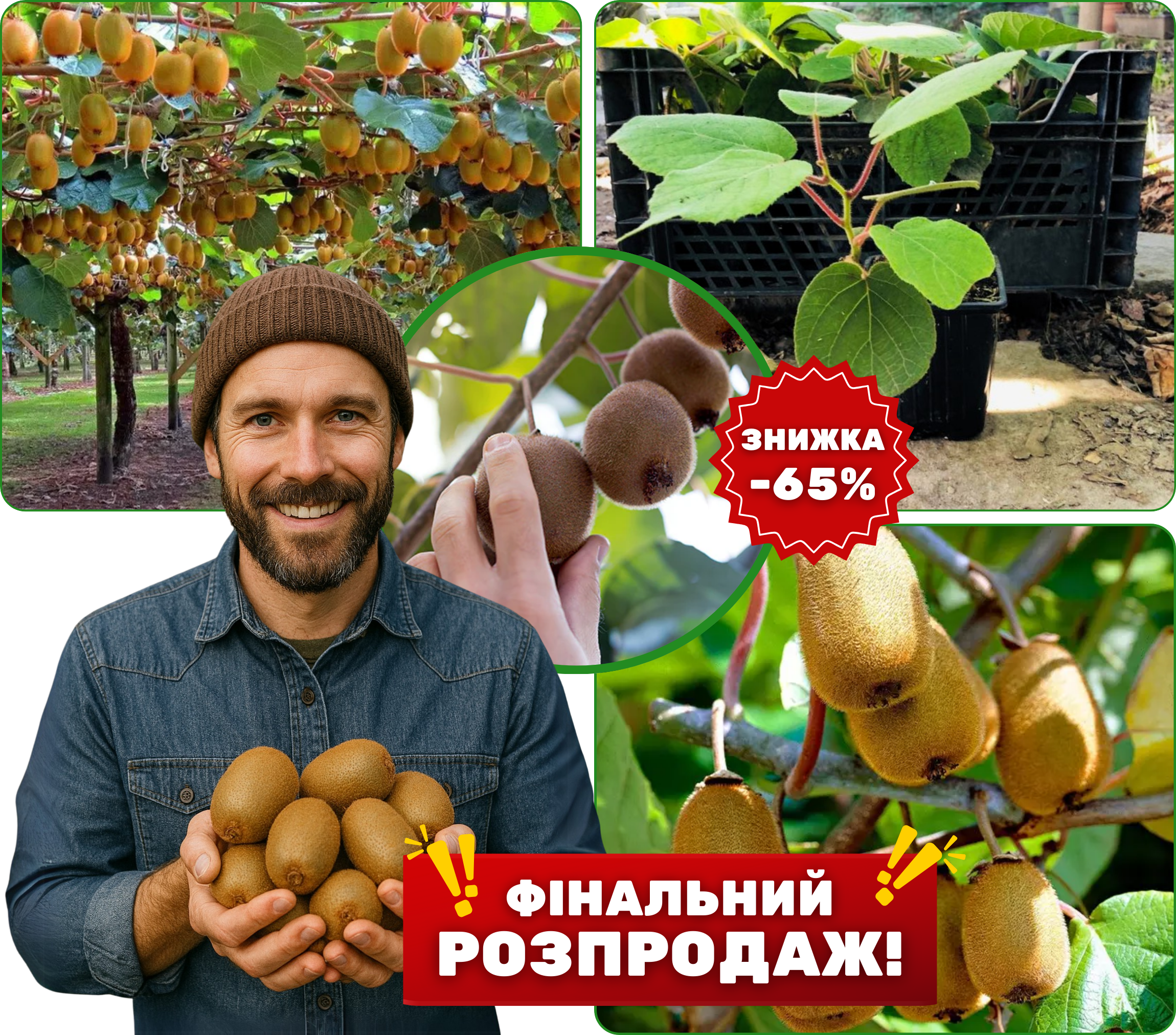 Заголовок