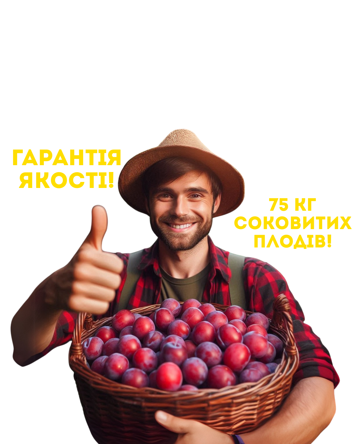 Image title