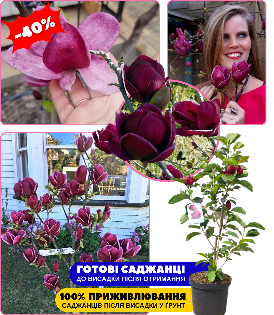 Заголовок